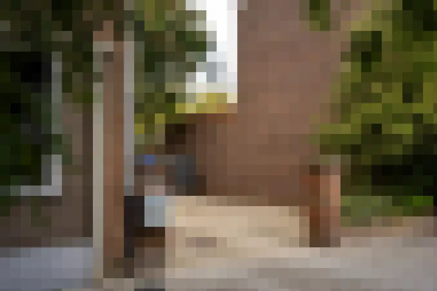 Laan van België 134 Roosendaal thumbnail 4