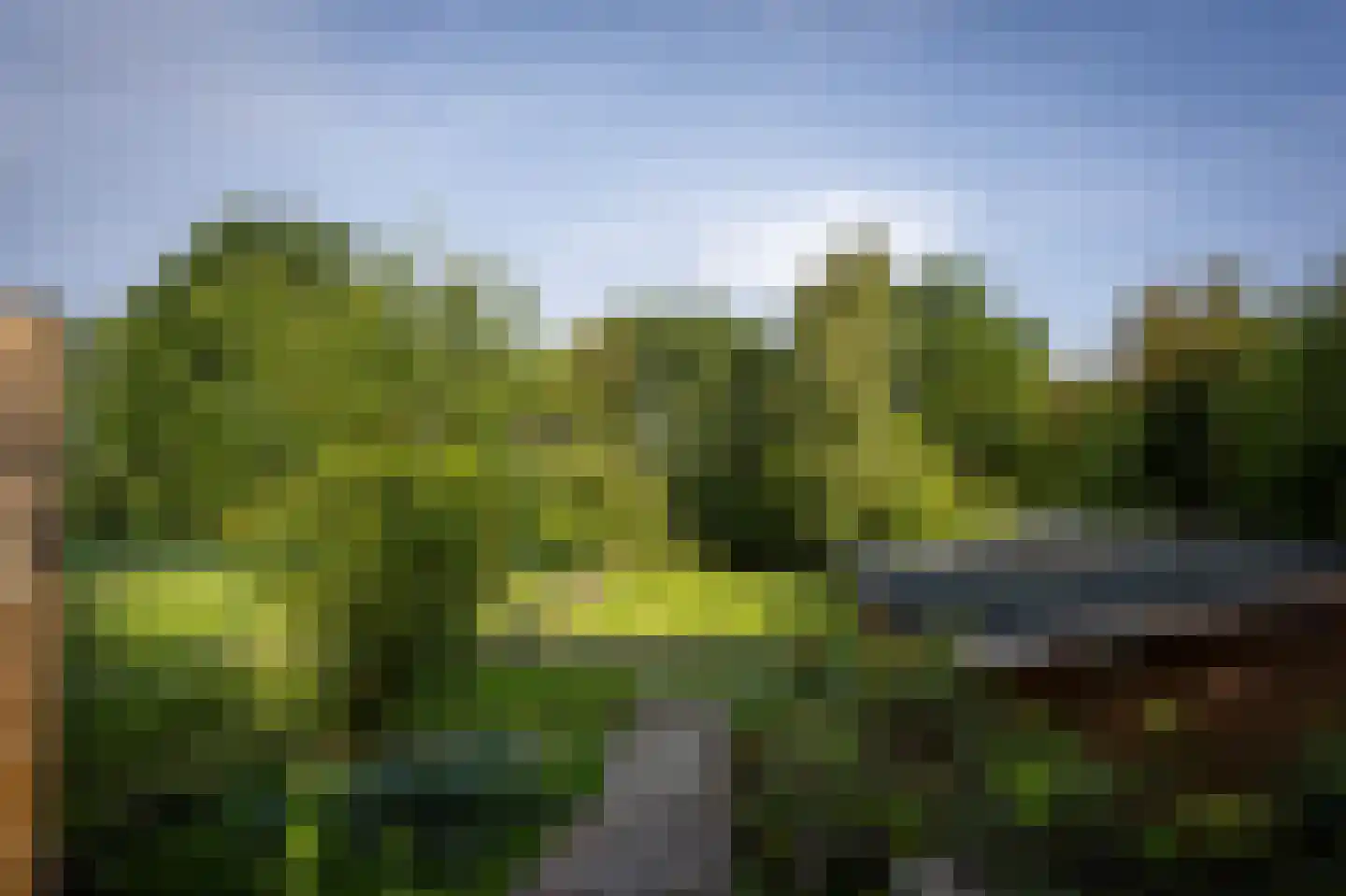 Laan van België 134 Roosendaal thumbnail 40