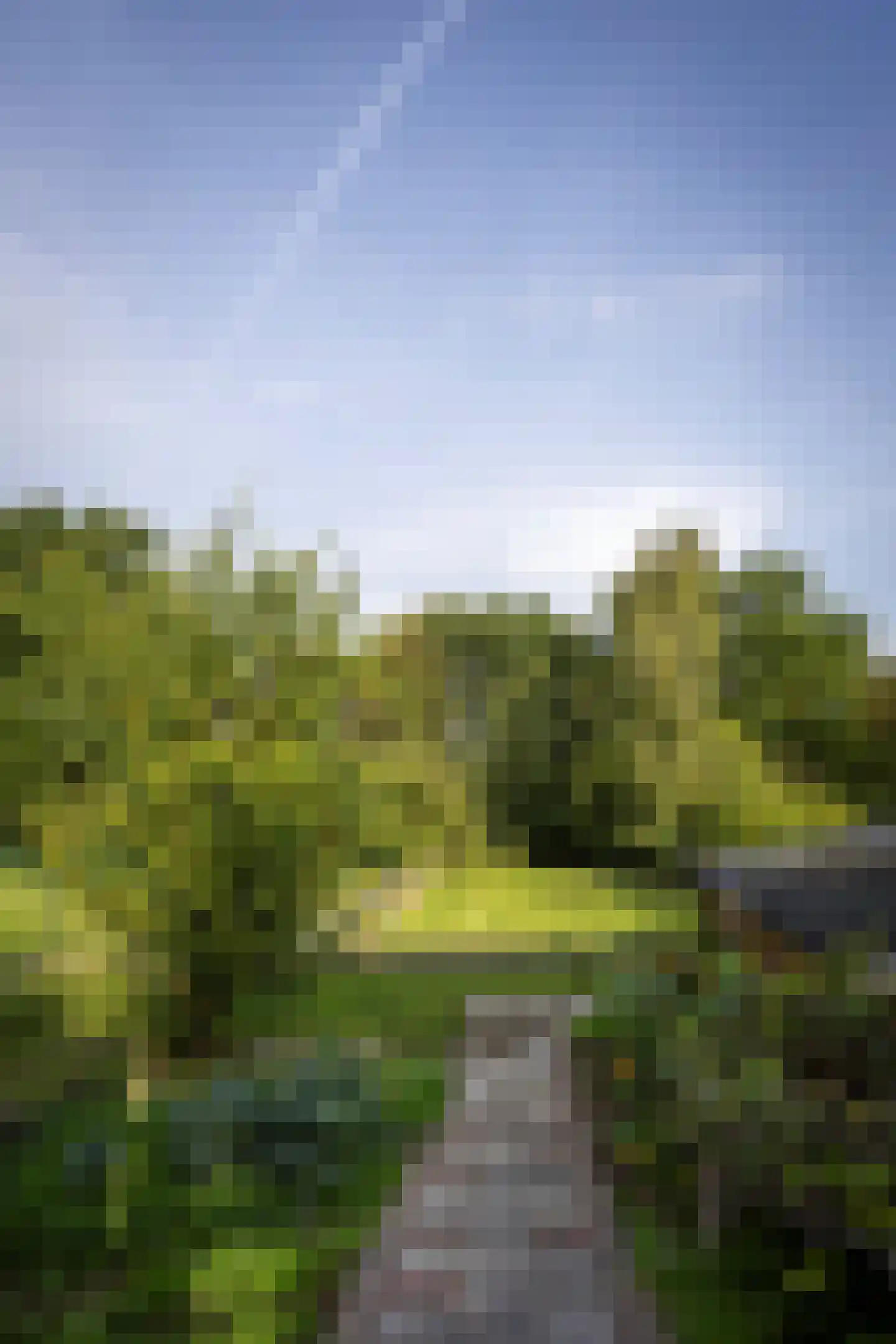 Laan van België 134 Roosendaal thumbnail 41