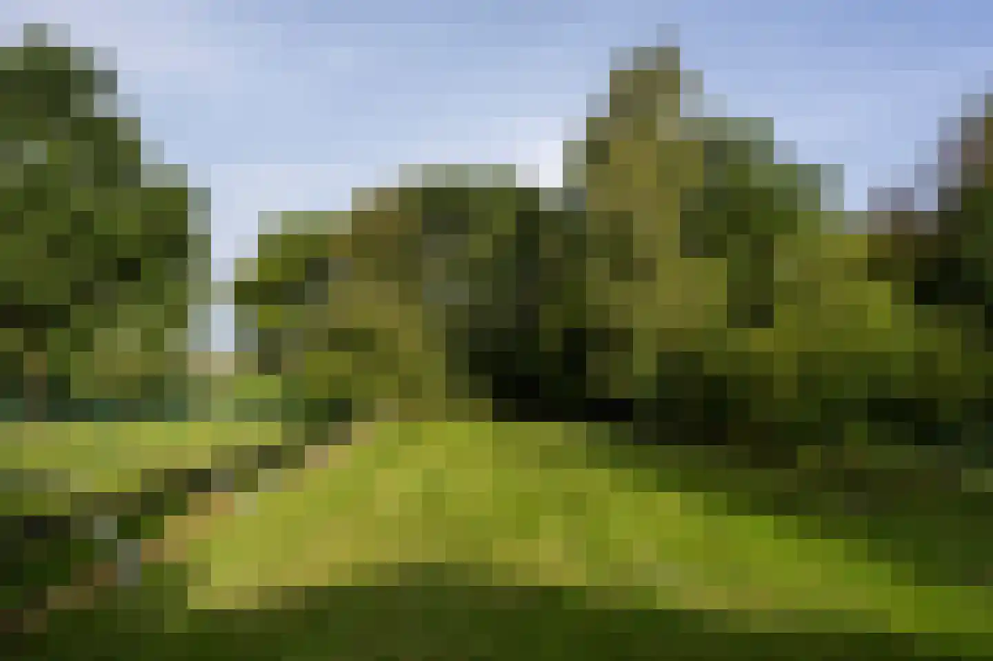 Laan van België 134 Roosendaal thumbnail 42