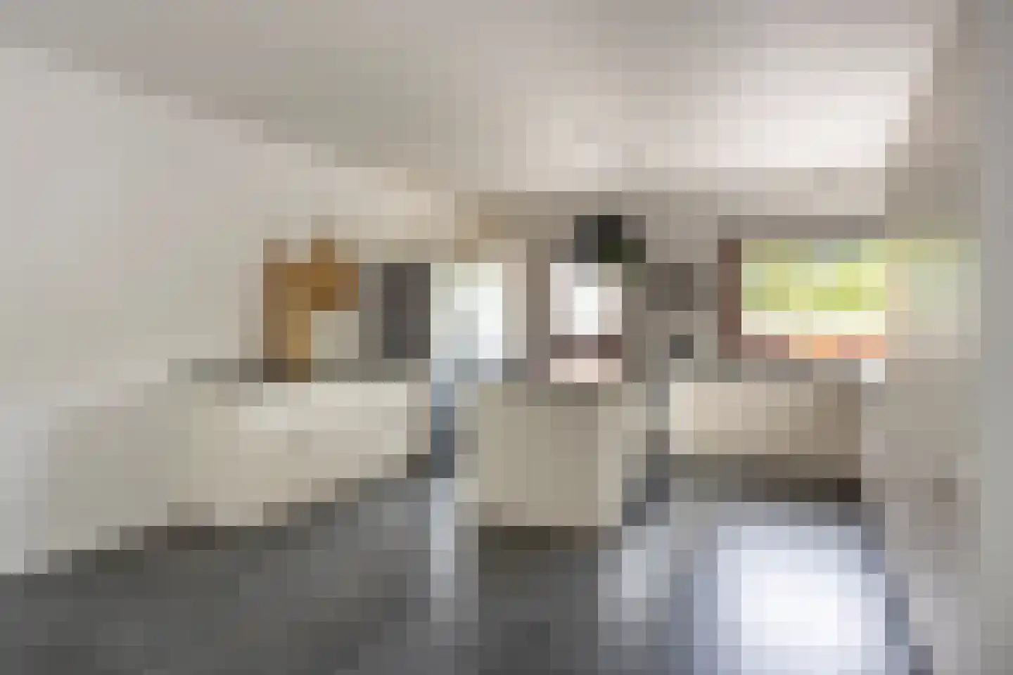 Laan van België 134 Roosendaal thumbnail 7