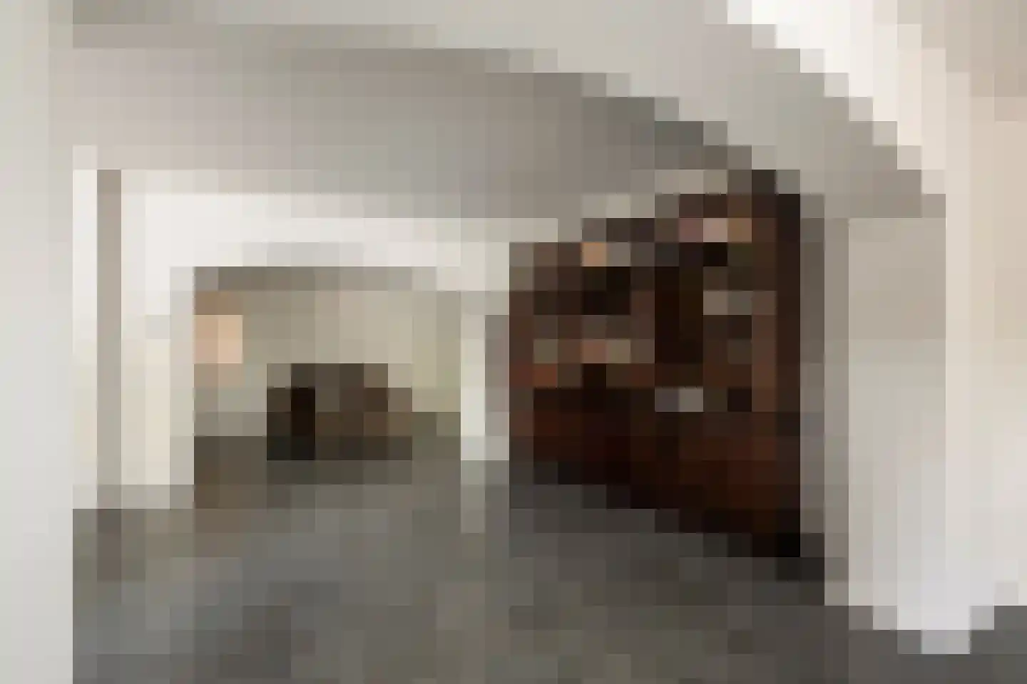 Laan van België 134 Roosendaal thumbnail 9