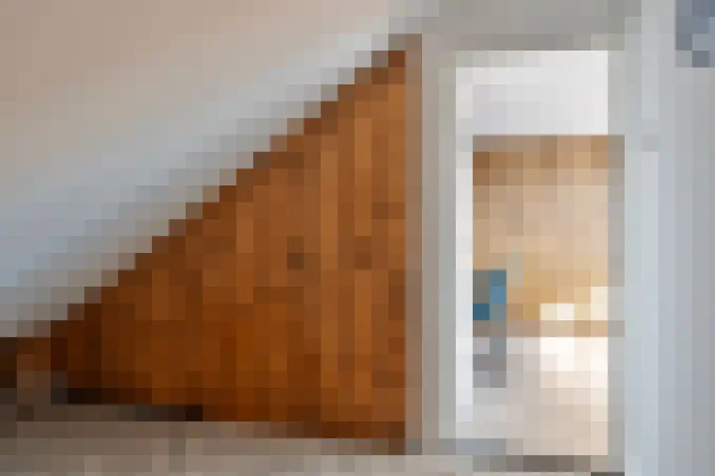 Laan van België 21 Roosendaal thumbnail 25