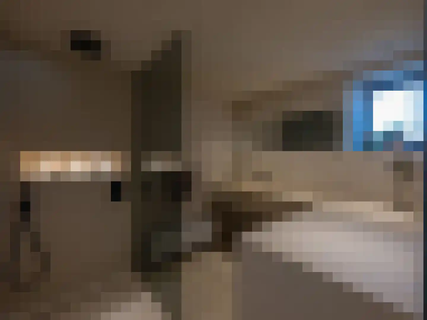 Laan van België 3620 Lanaken Roosendaal thumbnail 10