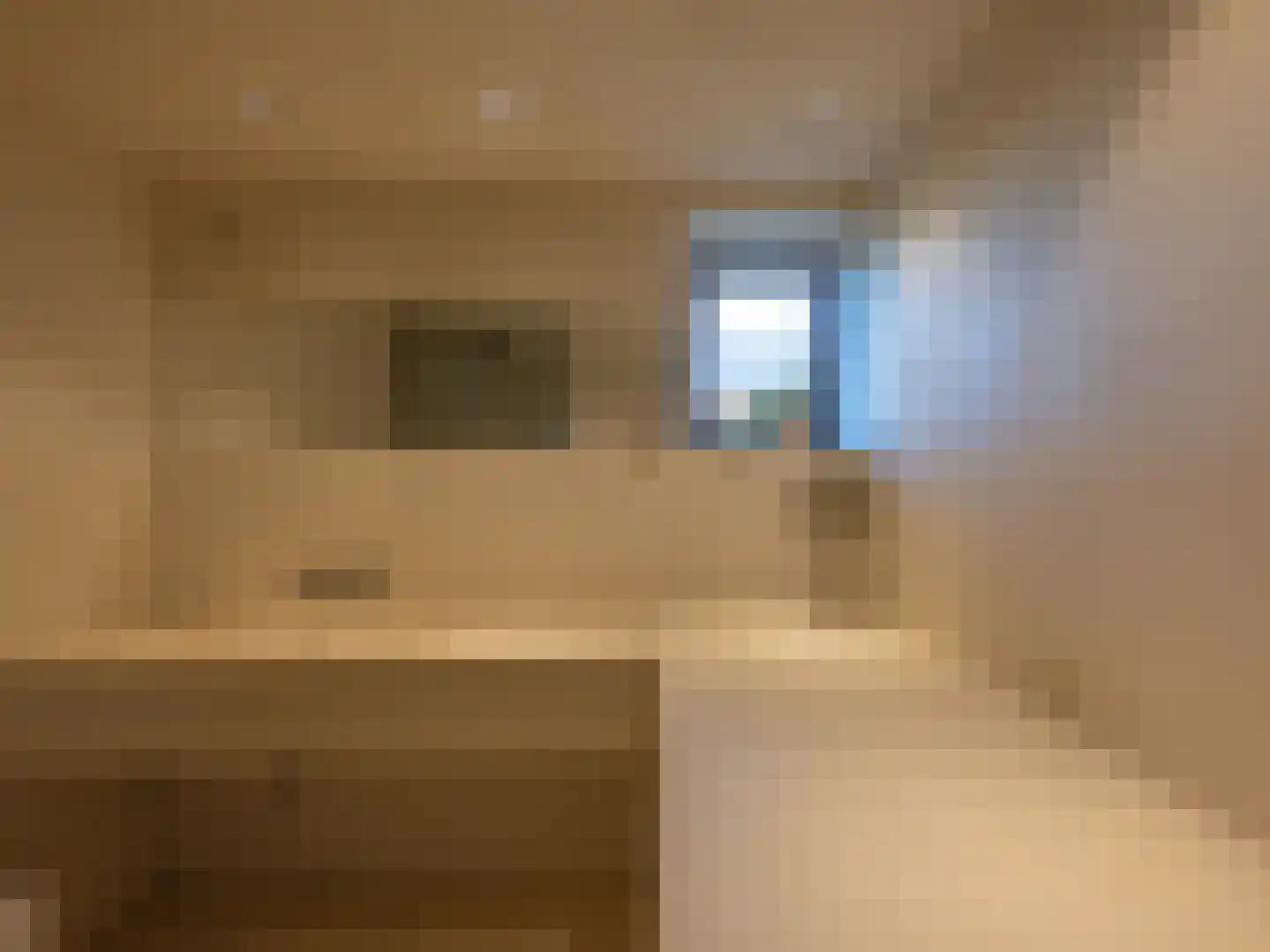Laan van België 3620 Lanaken Roosendaal thumbnail 11