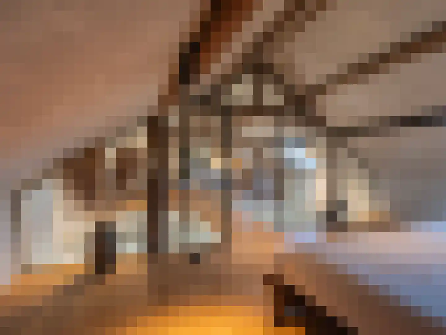 Laan van België 3620 Lanaken Roosendaal thumbnail 15