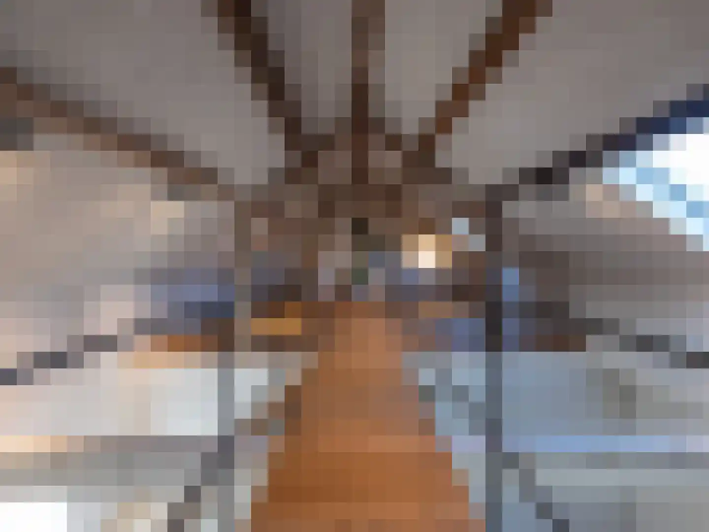 Laan van België 3620 Lanaken Roosendaal thumbnail 16