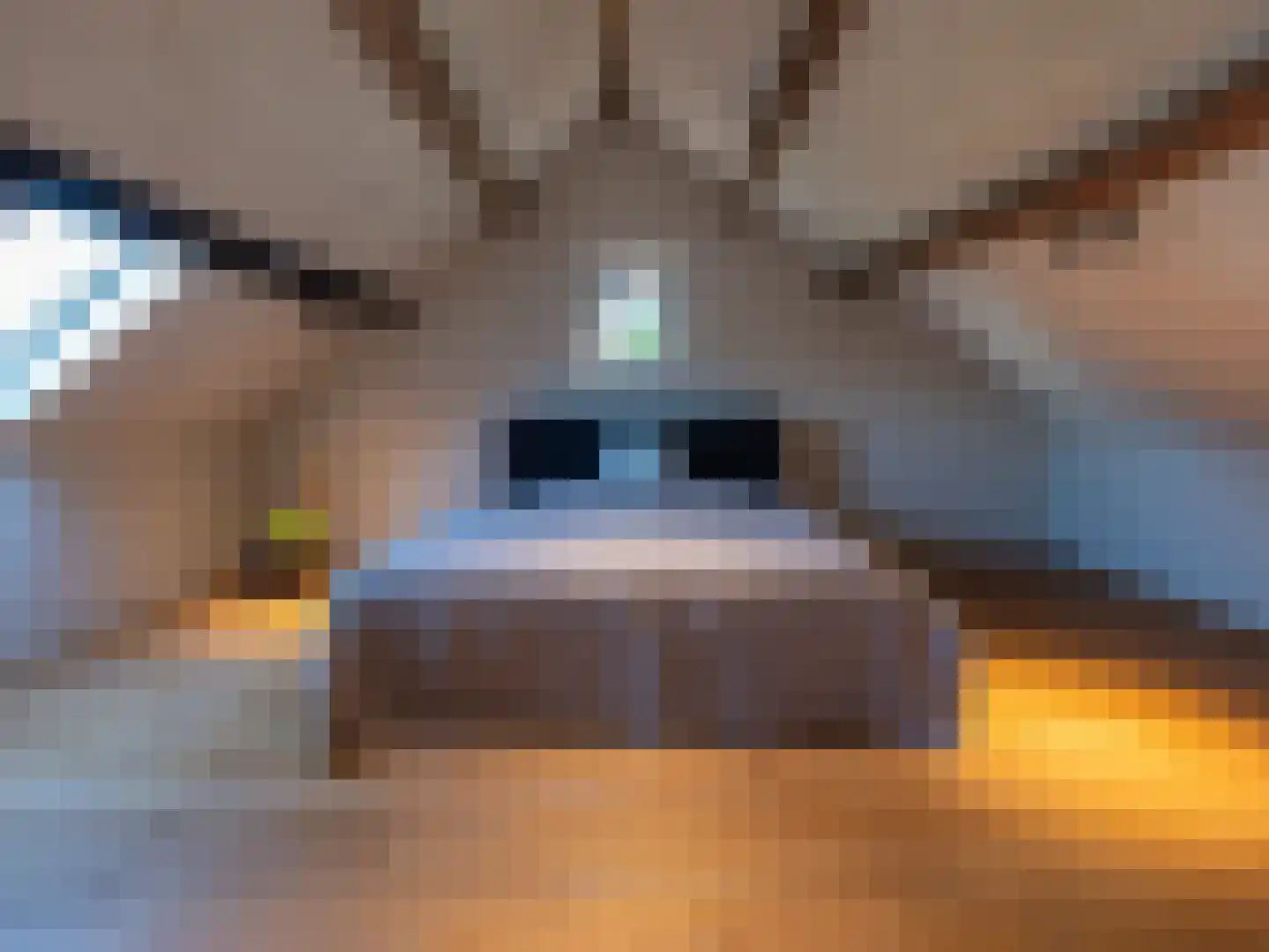 Laan van België 3620 Lanaken Roosendaal thumbnail 17
