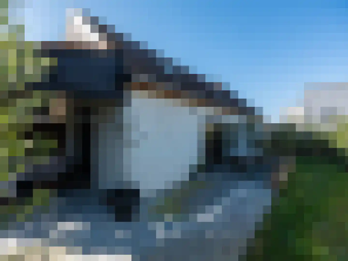 Laan van België 3620 Lanaken Roosendaal thumbnail 21