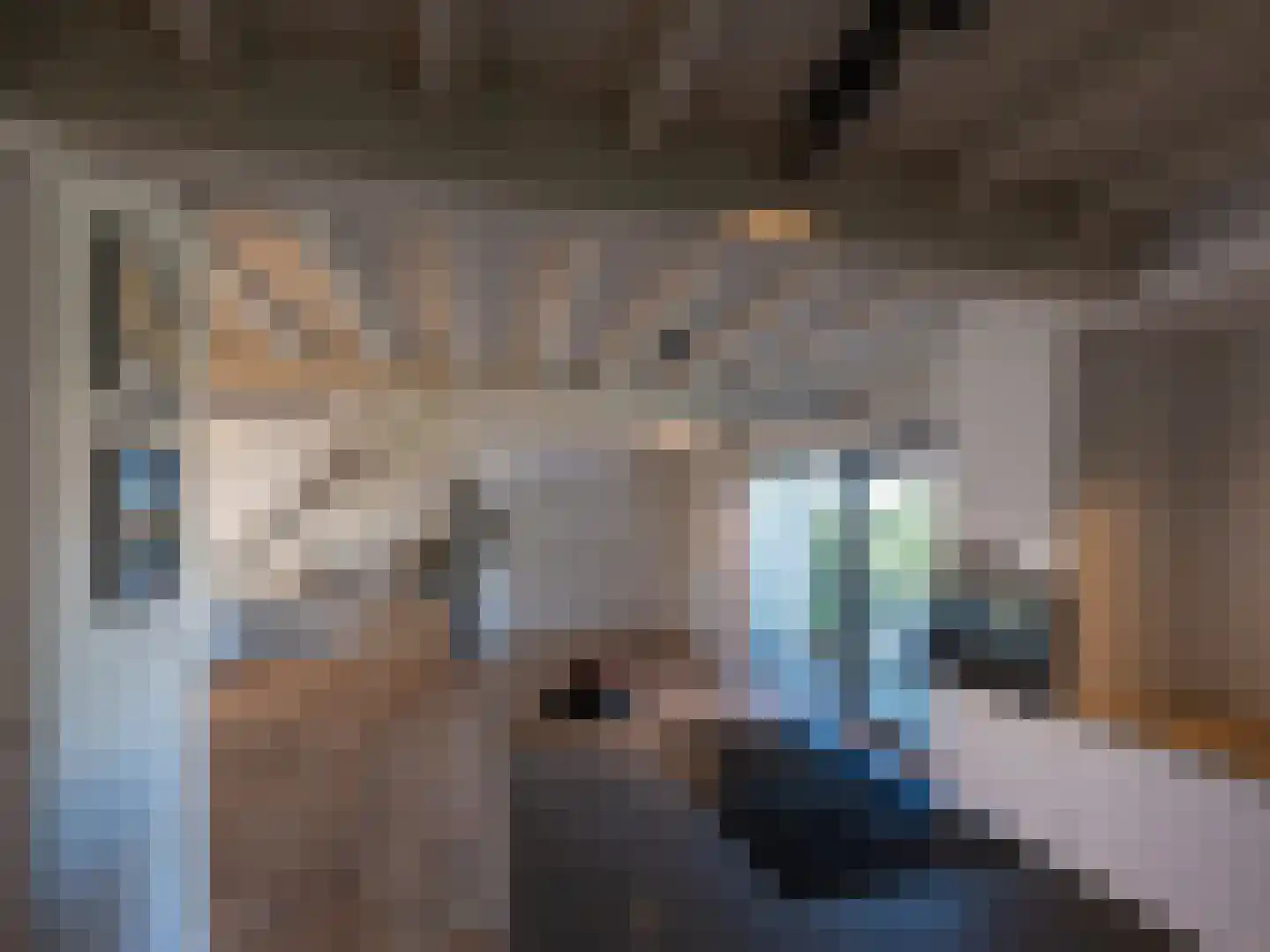 Laan van België 3620 Lanaken Roosendaal thumbnail 4