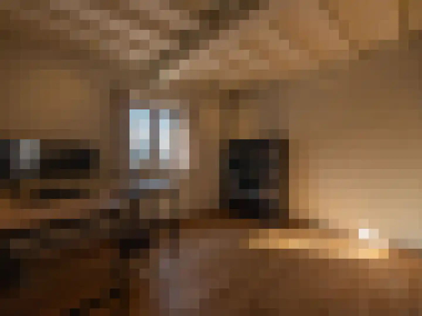 Laan van België 3620 Lanaken Roosendaal thumbnail 9
