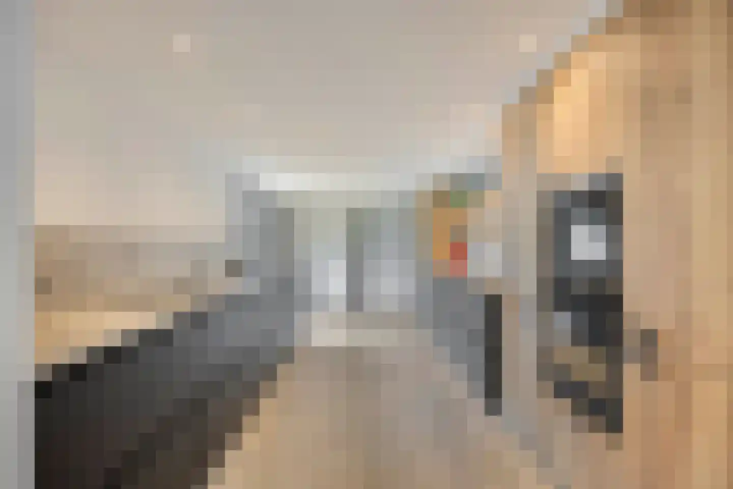 Laan van België 3680 Maaseik Roosendaal thumbnail 10