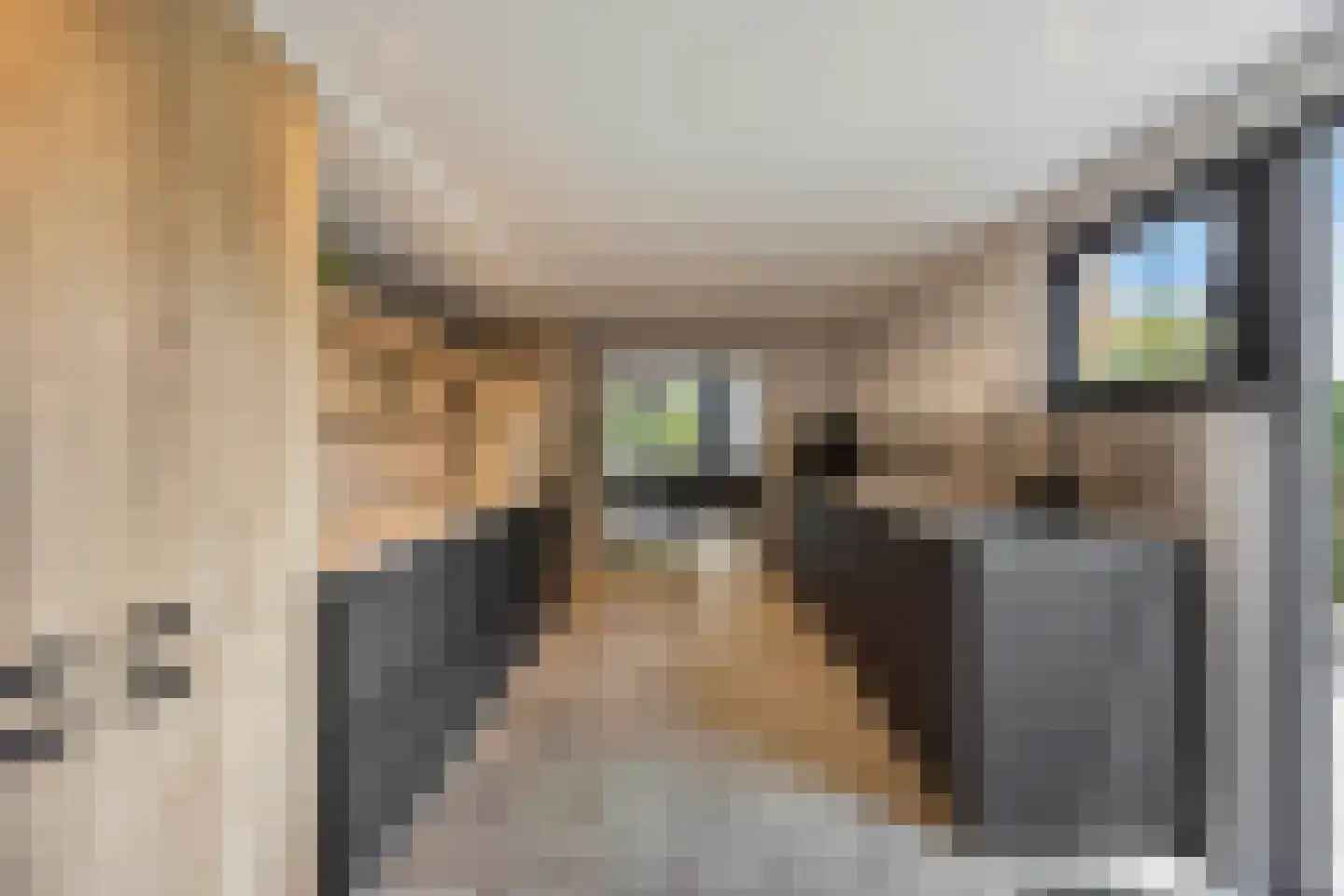 Laan van België 3680 Maaseik Roosendaal thumbnail 11