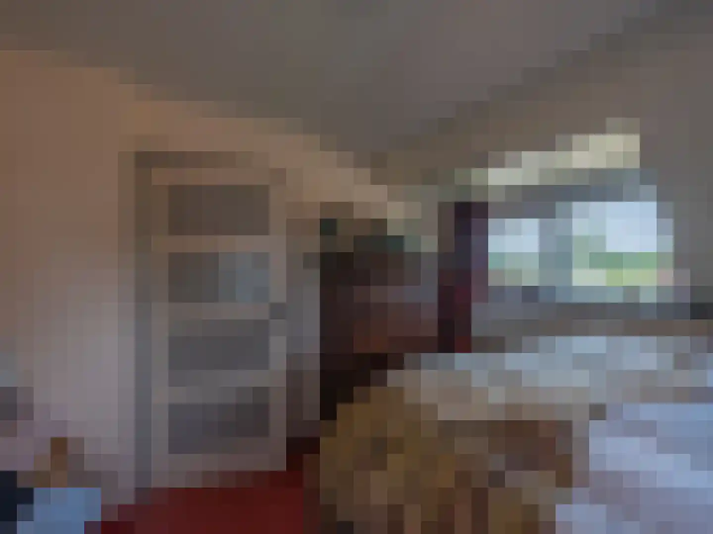 Laan van België 3680 Maaseik Roosendaal thumbnail 17