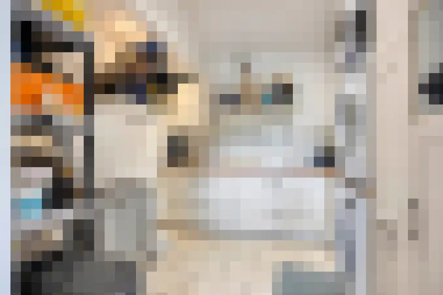 Laan van België 3680 Maaseik Roosendaal thumbnail 17