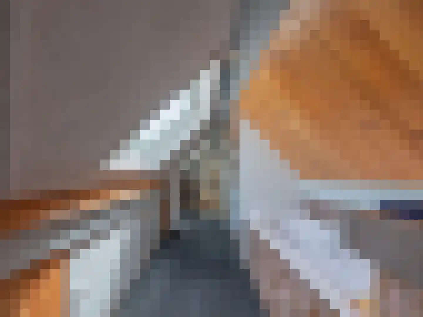Laan van België 3680 Maaseik Roosendaal thumbnail 19