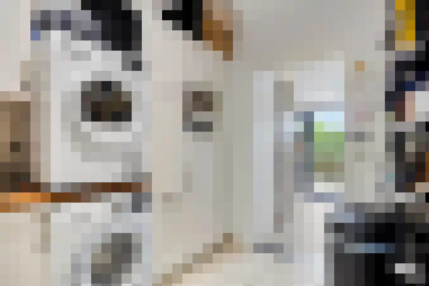 Laan van België 3680 Maaseik Roosendaal thumbnail 19