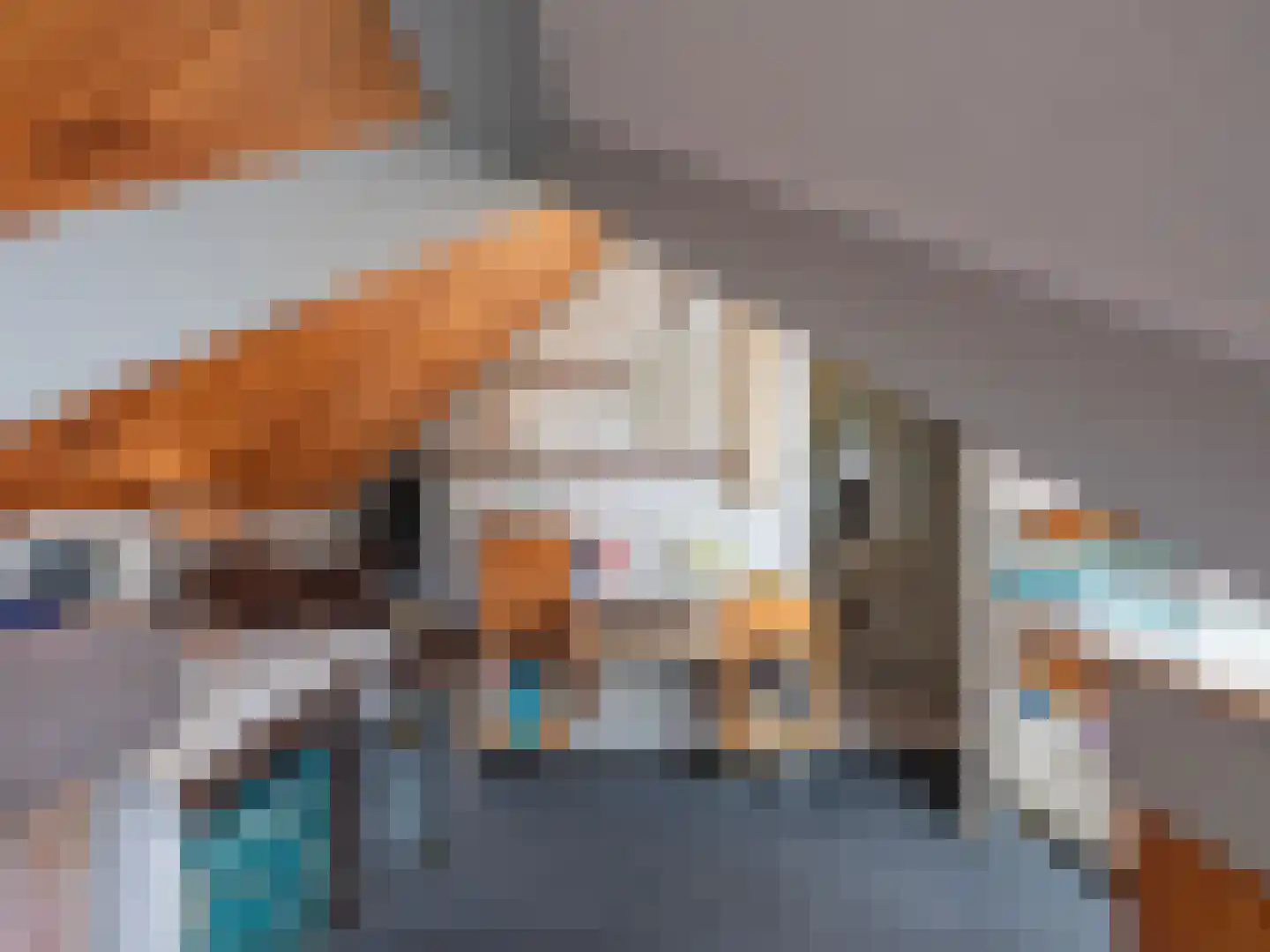 Laan van België 3680 Maaseik Roosendaal thumbnail 20
