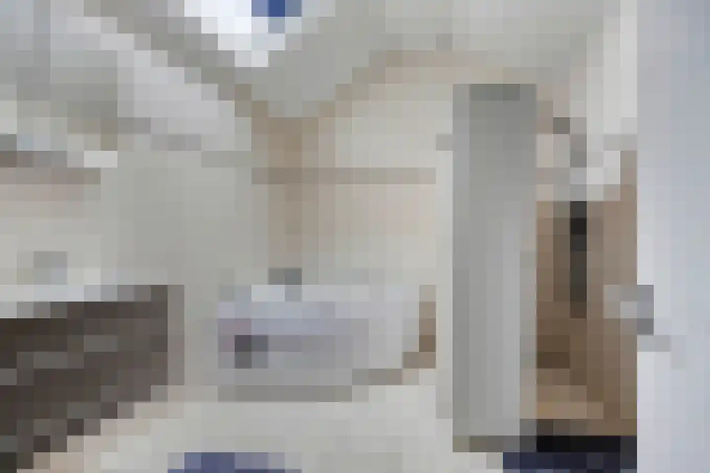 Laan van België 3680 Maaseik Roosendaal thumbnail 21