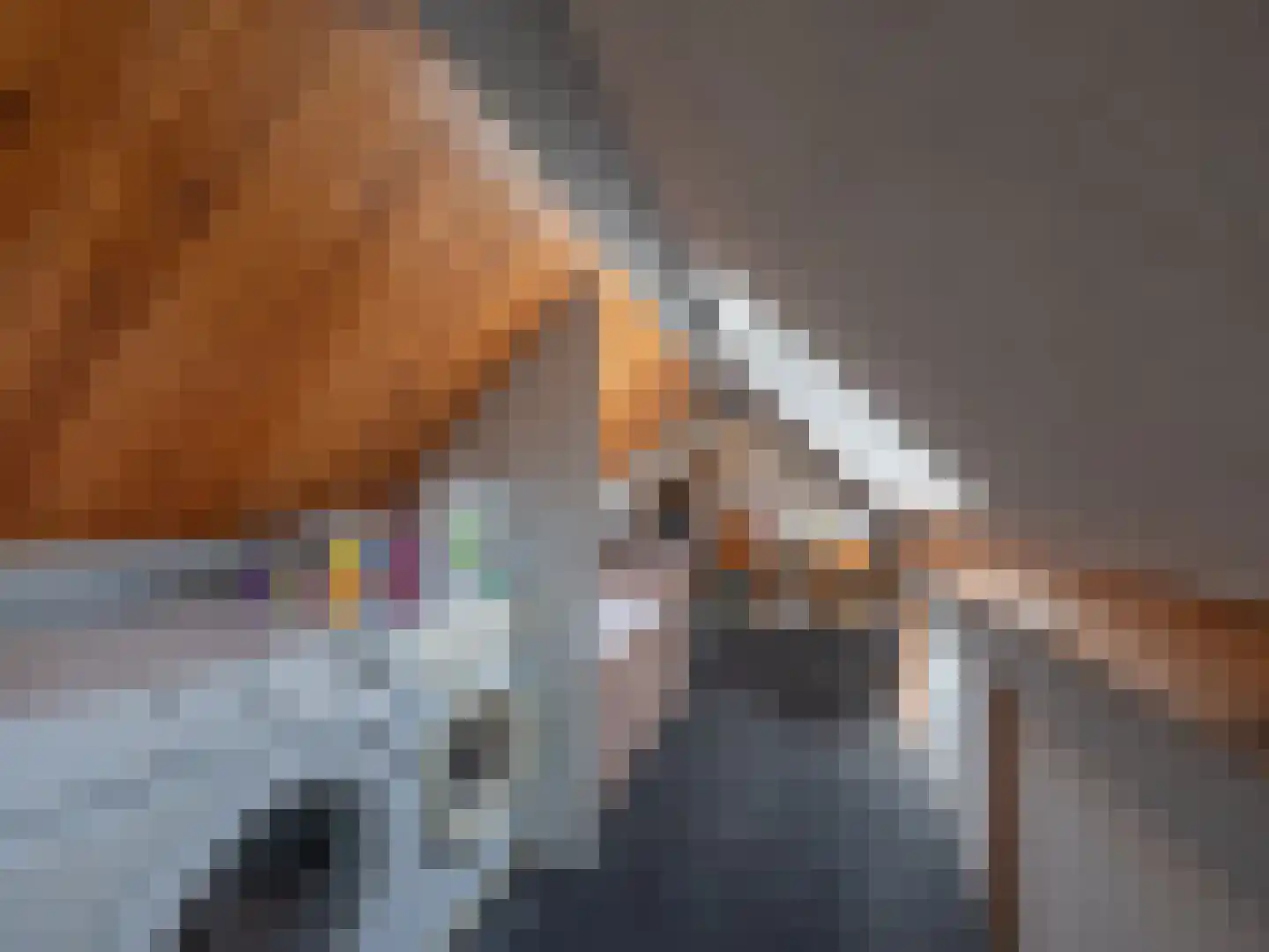 Laan van België 3680 Maaseik Roosendaal thumbnail 21