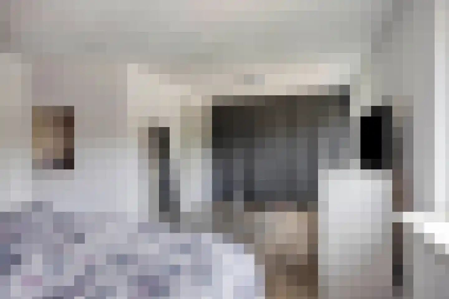 Laan van België 3680 Maaseik Roosendaal thumbnail 27