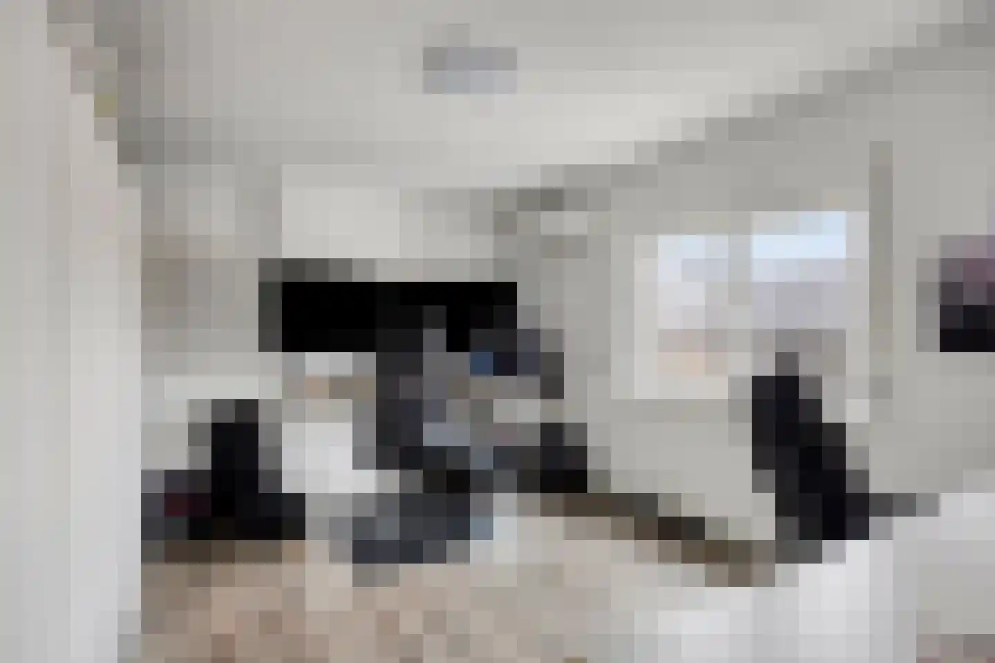 Laan van België 3680 Maaseik Roosendaal thumbnail 28