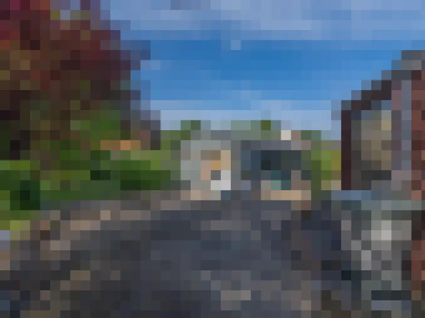 Laan van België 3680 Maaseik Roosendaal thumbnail 30