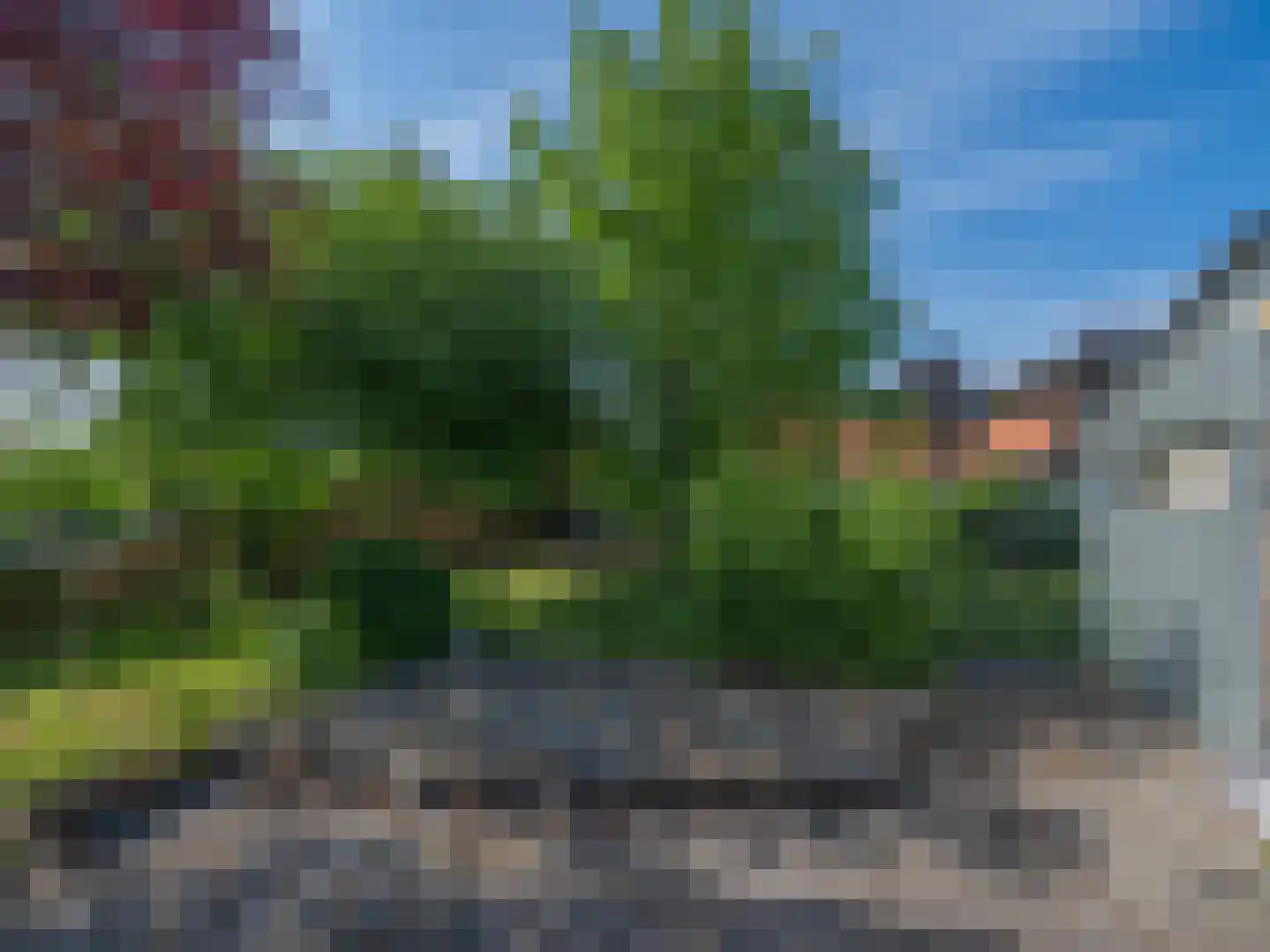 Laan van België 3680 Maaseik Roosendaal thumbnail 33