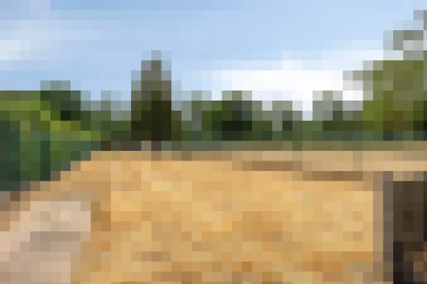Laan van België 3680 Maaseik Roosendaal thumbnail 34