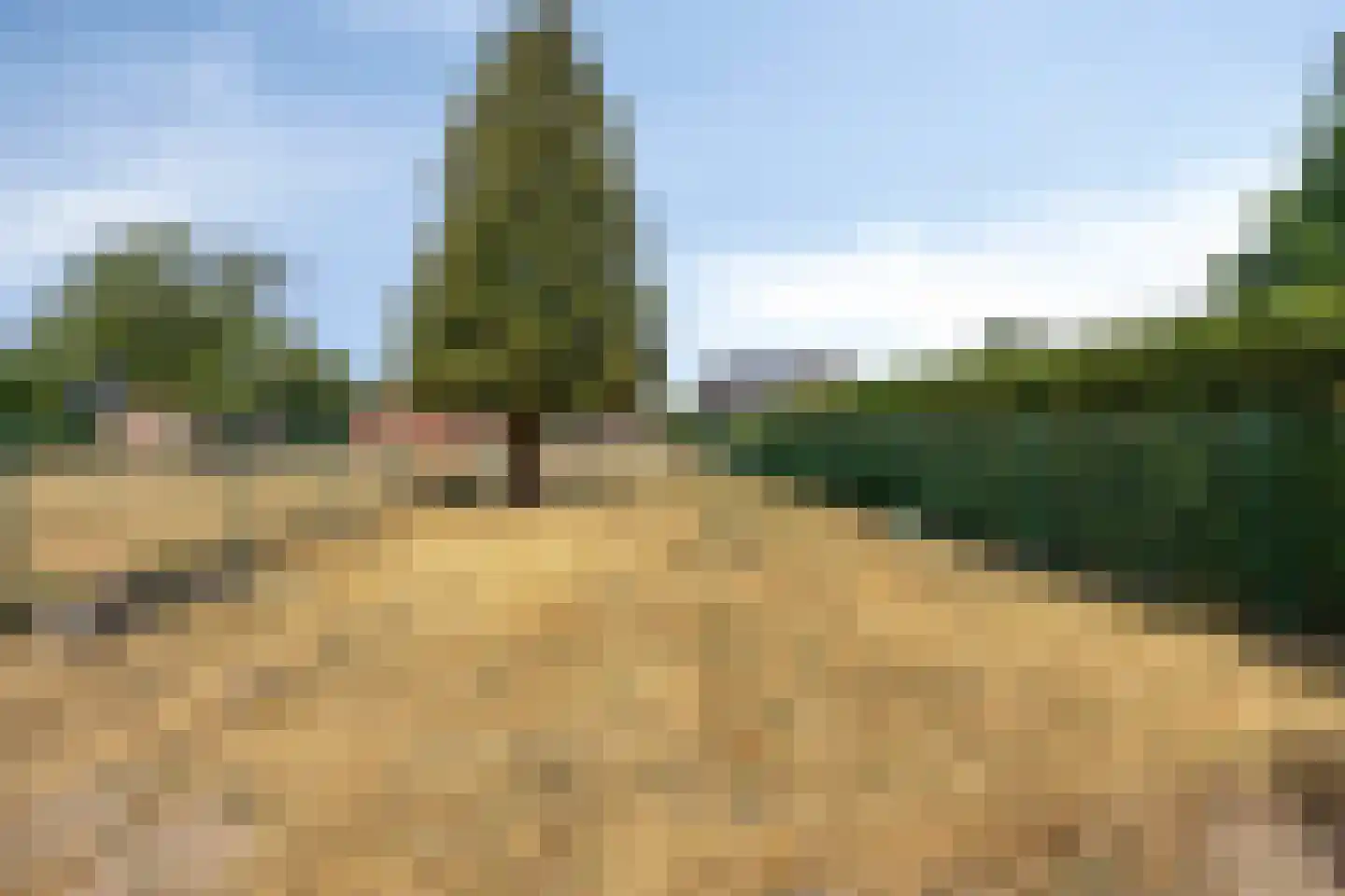 Laan van België 3680 Maaseik Roosendaal thumbnail 35