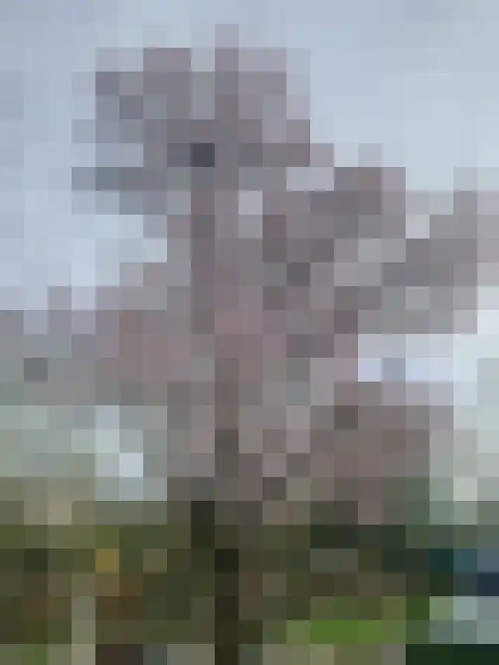 Laan van België 3680 Maaseik Roosendaal thumbnail 36