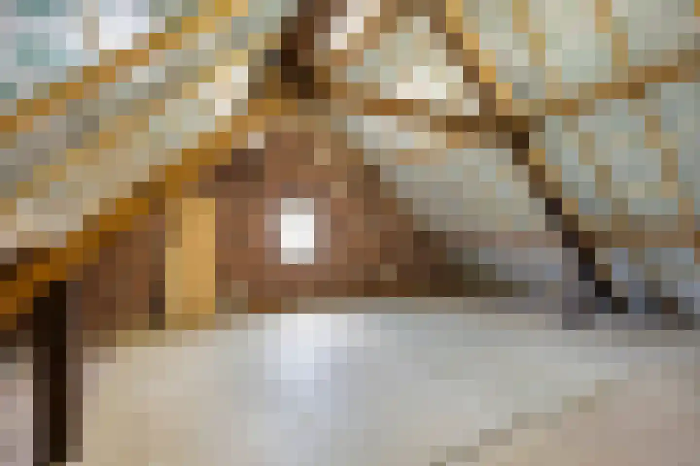 Laan van België 3680 Maaseik Roosendaal thumbnail 38