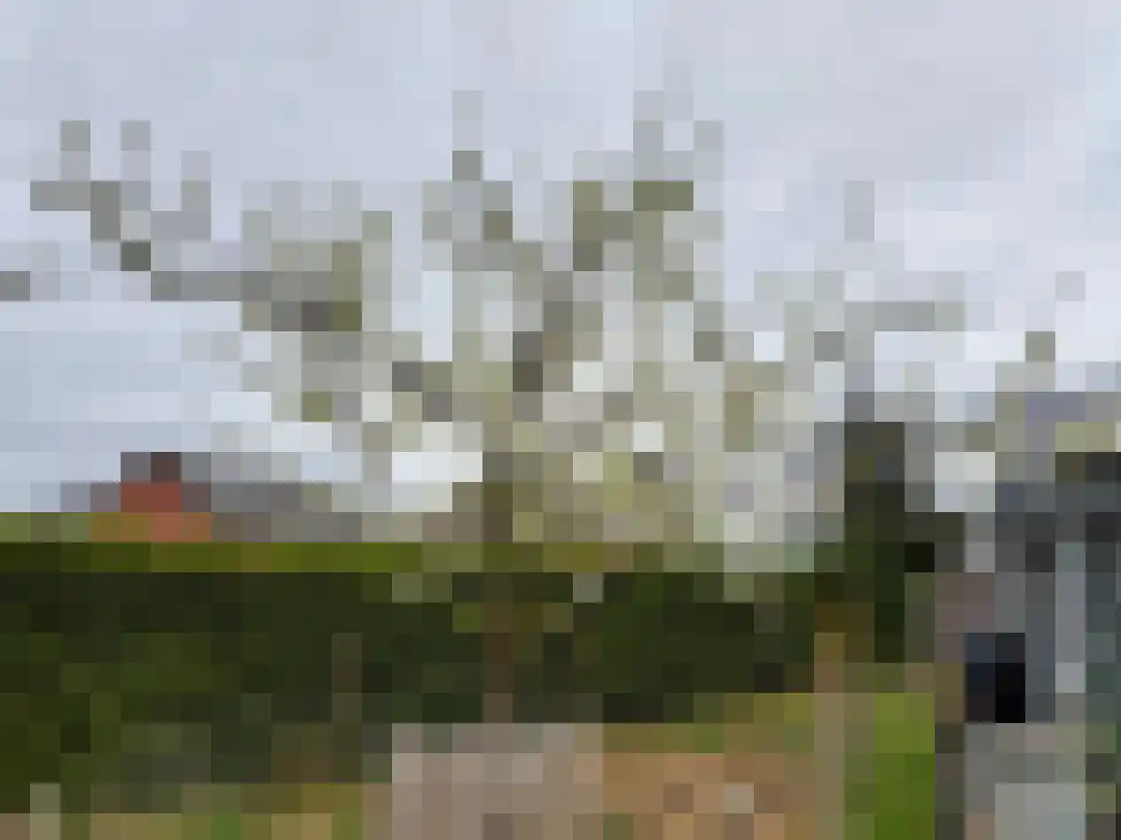 Laan van België 3680 Maaseik Roosendaal thumbnail 38