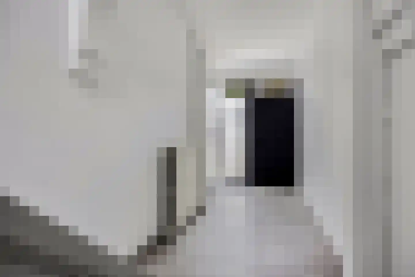 Laan van België 3680 Maaseik Roosendaal thumbnail 4