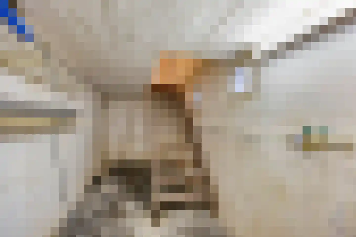 Laan van België 3680 Maaseik Roosendaal thumbnail 40