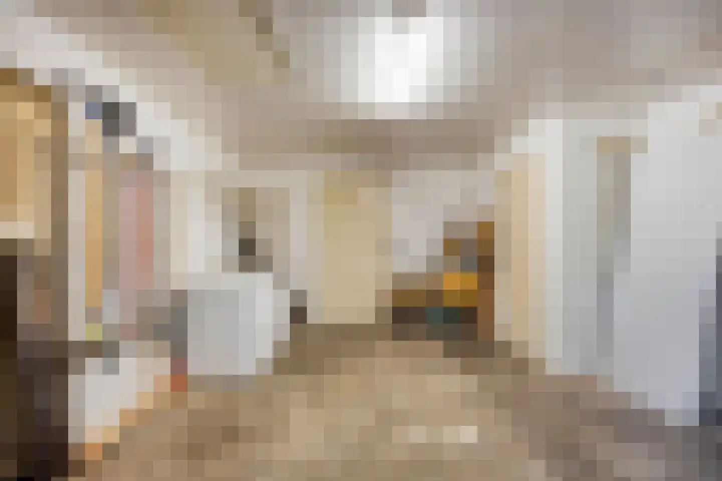 Laan van België 3680 Maaseik Roosendaal thumbnail 43