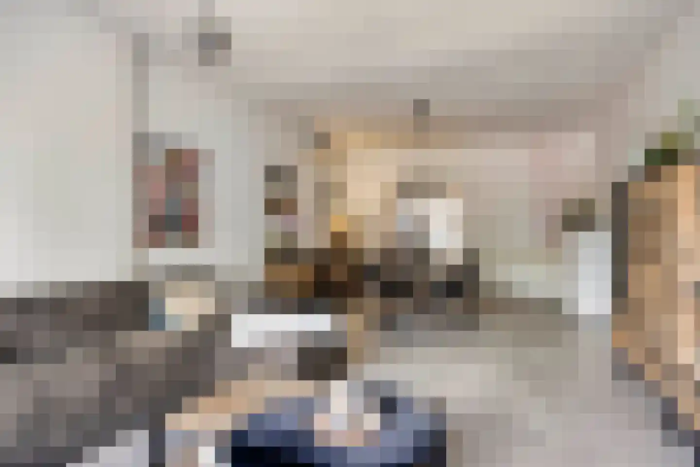 Laan van België 3680 Maaseik Roosendaal thumbnail 6