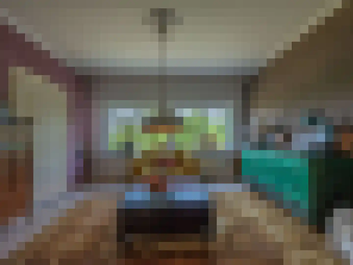 Laan van België 3680 Maaseik Roosendaal thumbnail 6