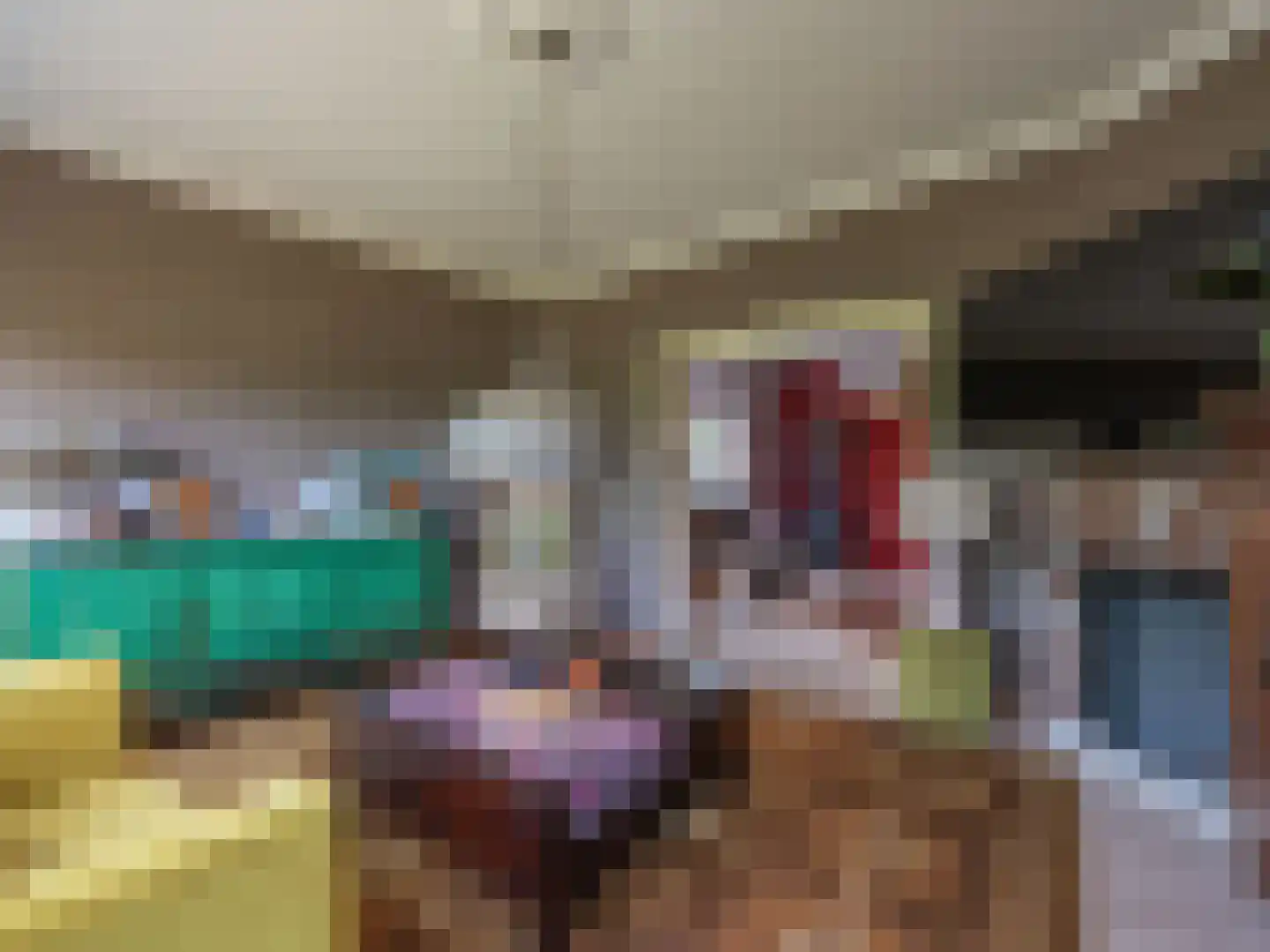 Laan van België 3680 Maaseik Roosendaal thumbnail 7