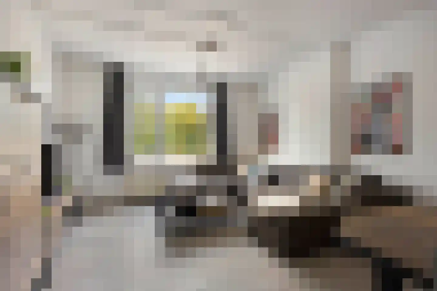 Laan van België 3680 Maaseik Roosendaal thumbnail 7