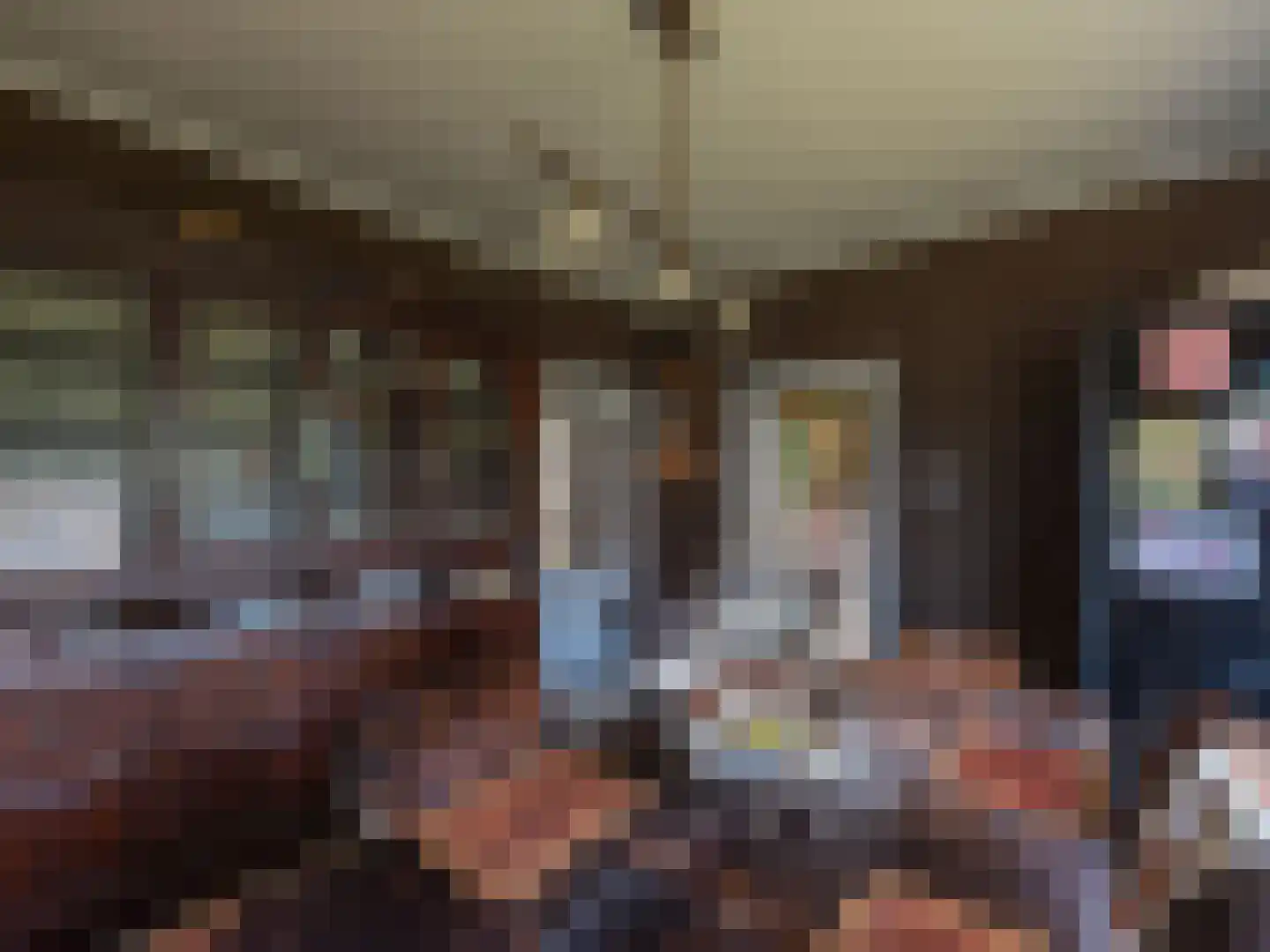 Laan van België 3680 Maaseik Roosendaal thumbnail 8