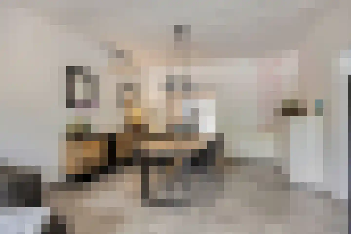 Laan van België 3680 Maaseik Roosendaal thumbnail 9