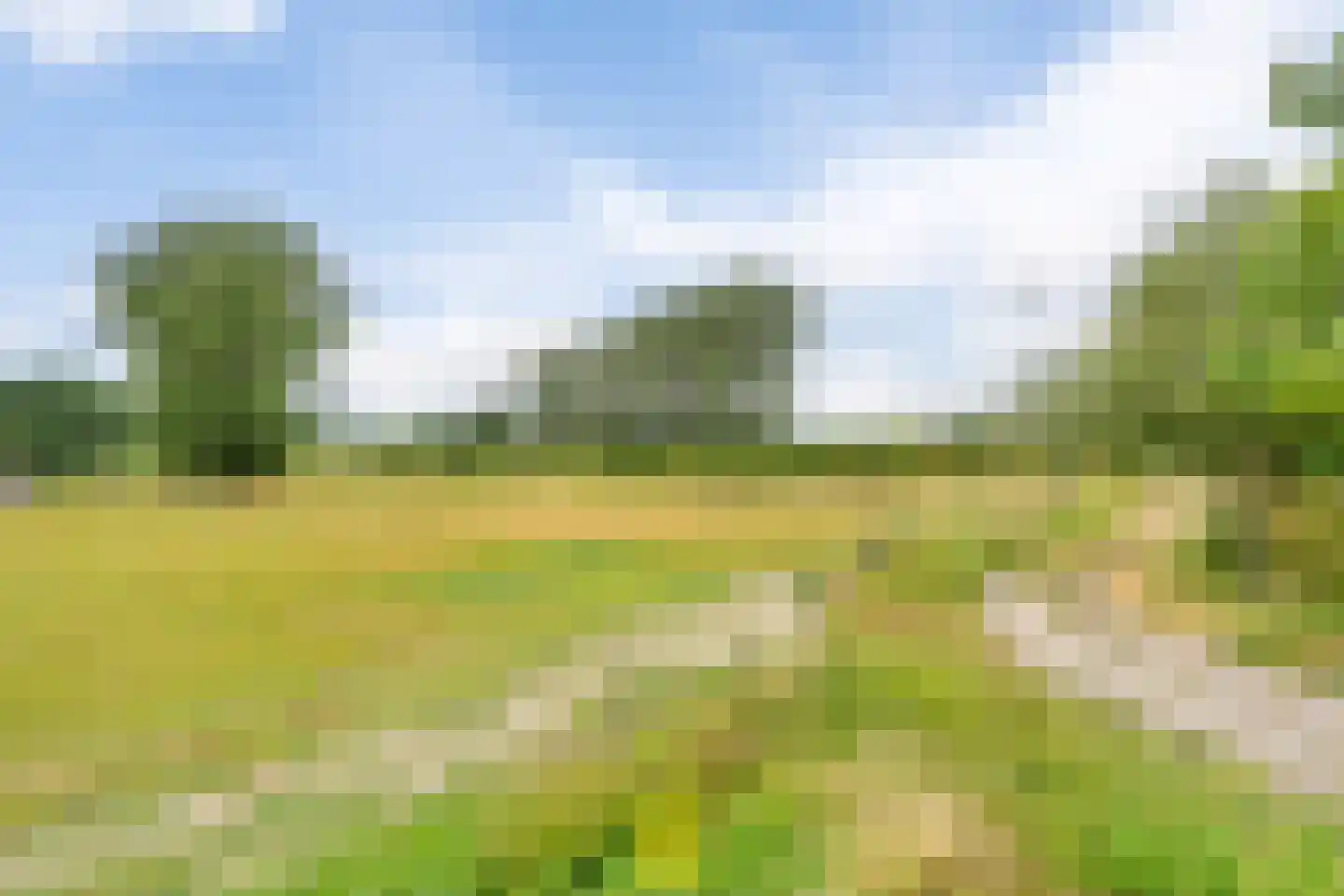 Laan van België 3740 Bilzen Roosendaal thumbnail 12