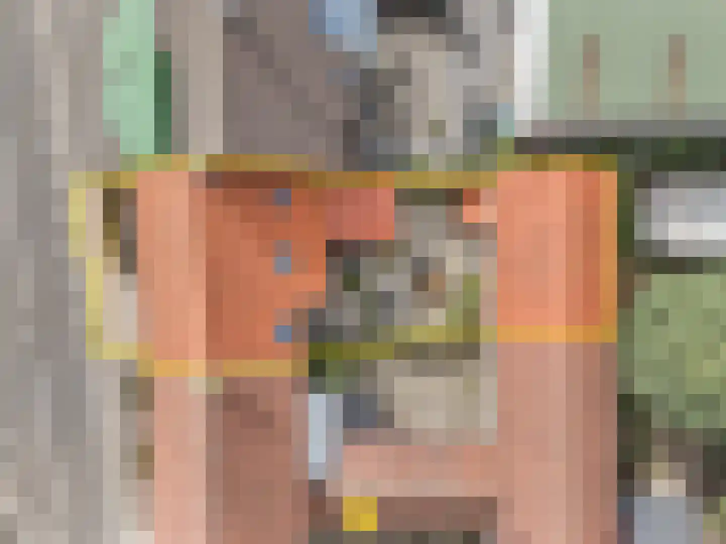 Laan van België 3740 Bilzen Roosendaal thumbnail 15