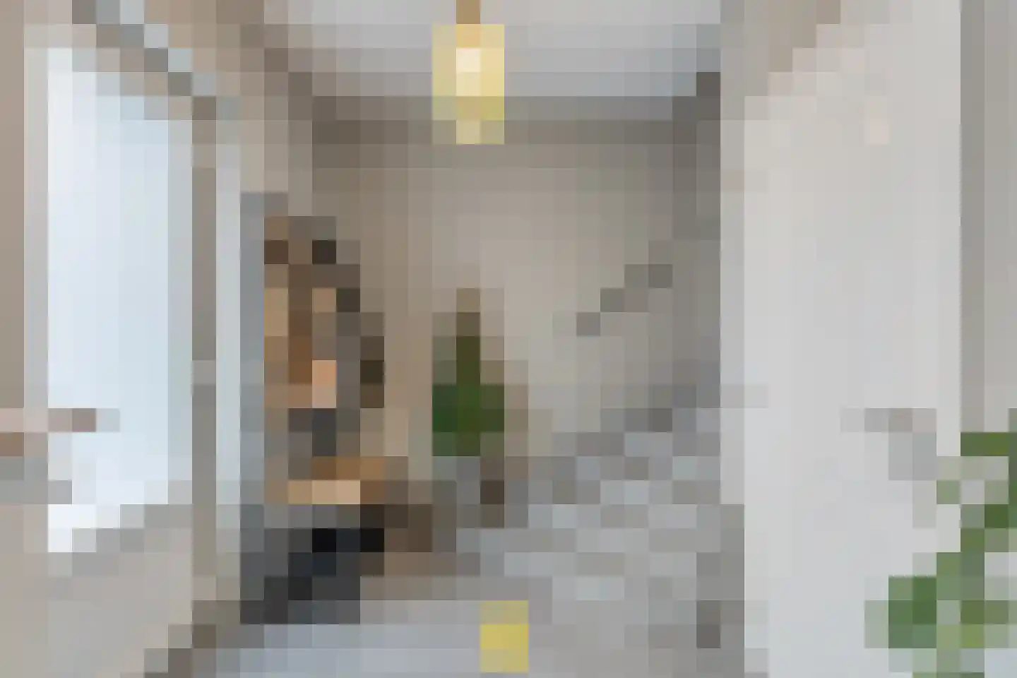 Laan van België 3740 Bilzen Roosendaal thumbnail 16