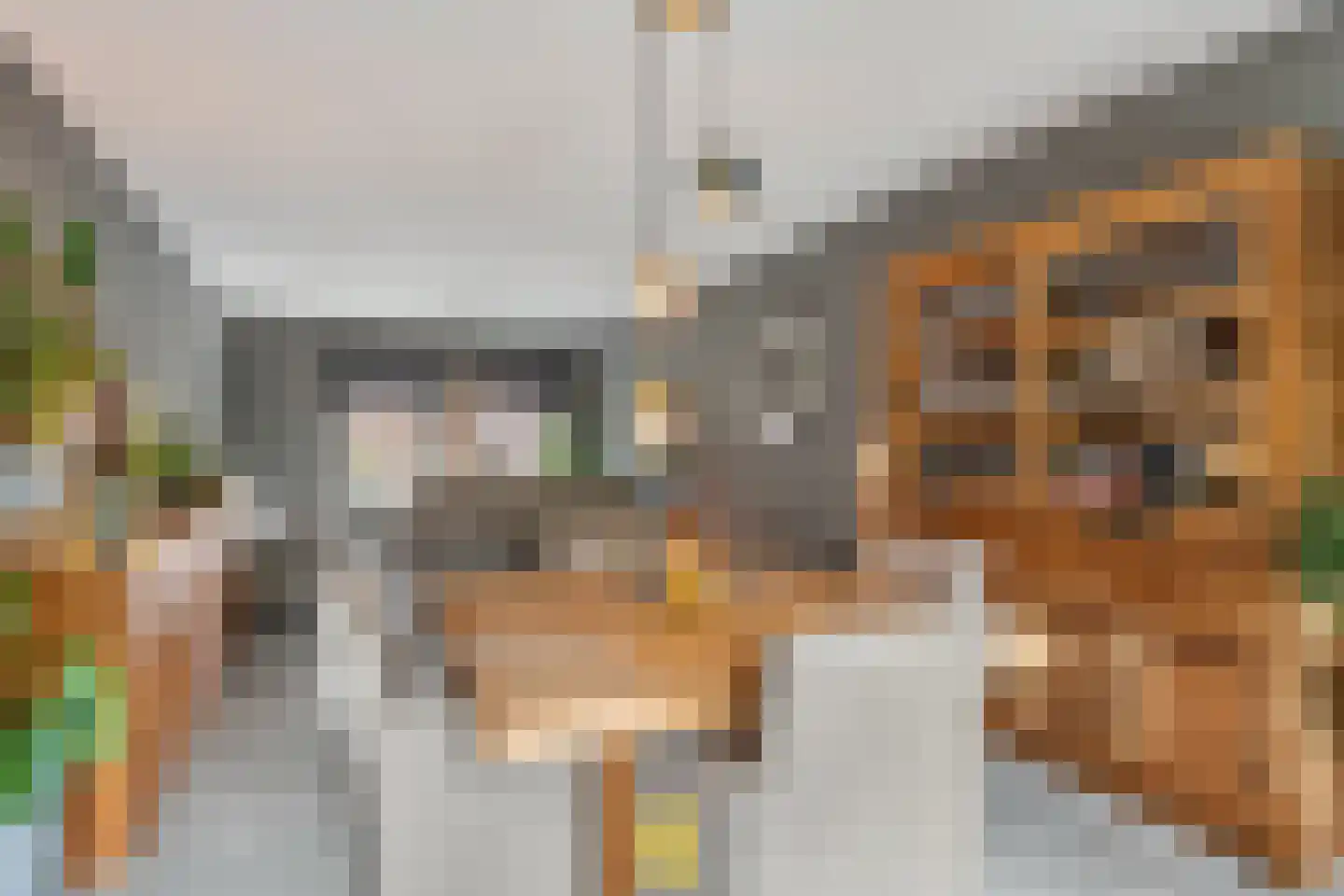 Laan van België 3740 Bilzen Roosendaal thumbnail 20