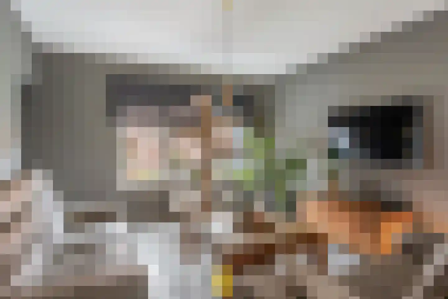 Laan van België 3740 Bilzen Roosendaal thumbnail 22