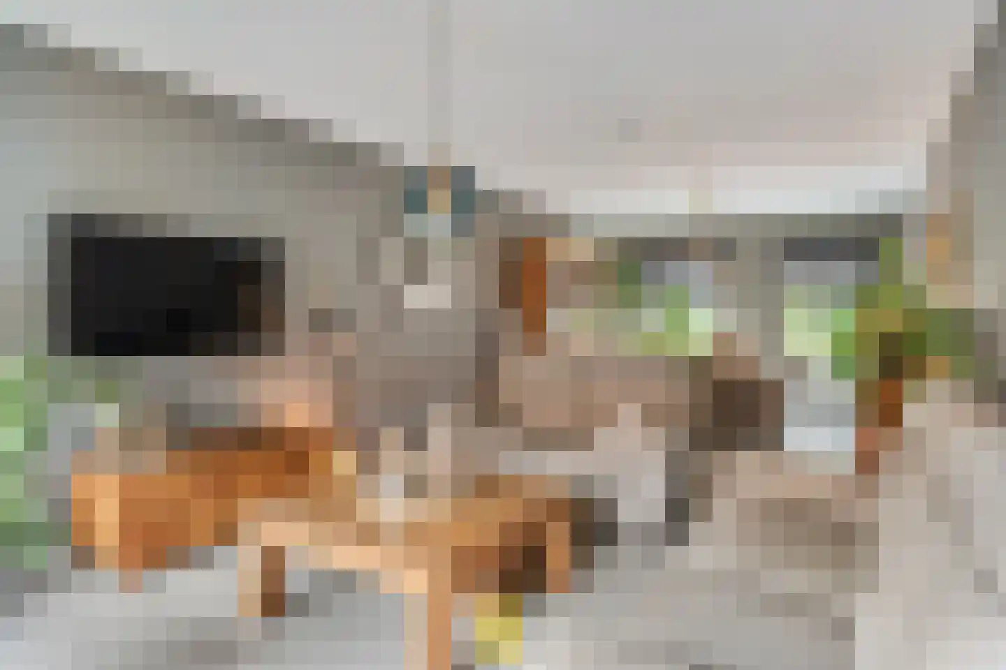 Laan van België 3740 Bilzen Roosendaal thumbnail 23