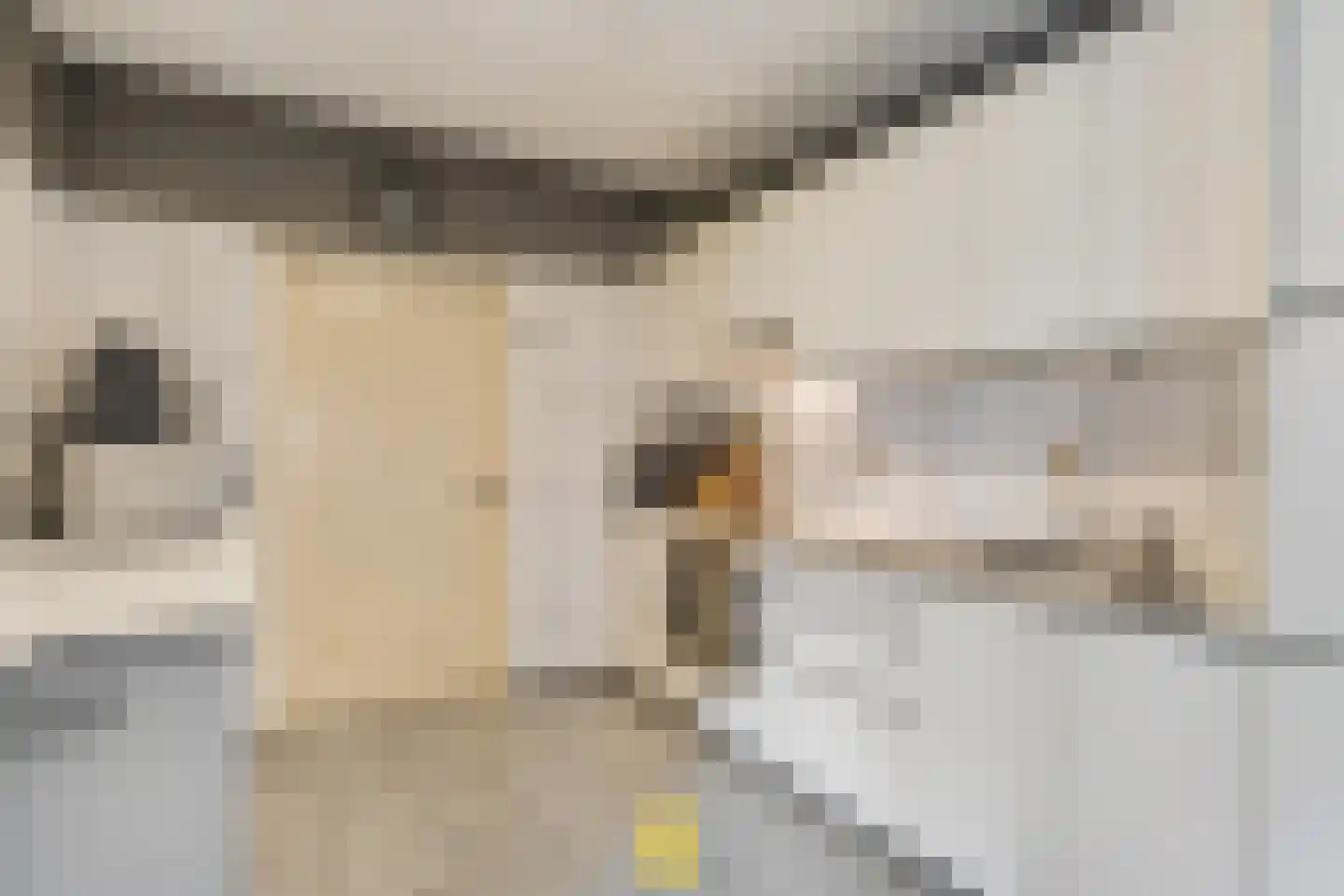 Laan van België 3740 Bilzen Roosendaal thumbnail 24