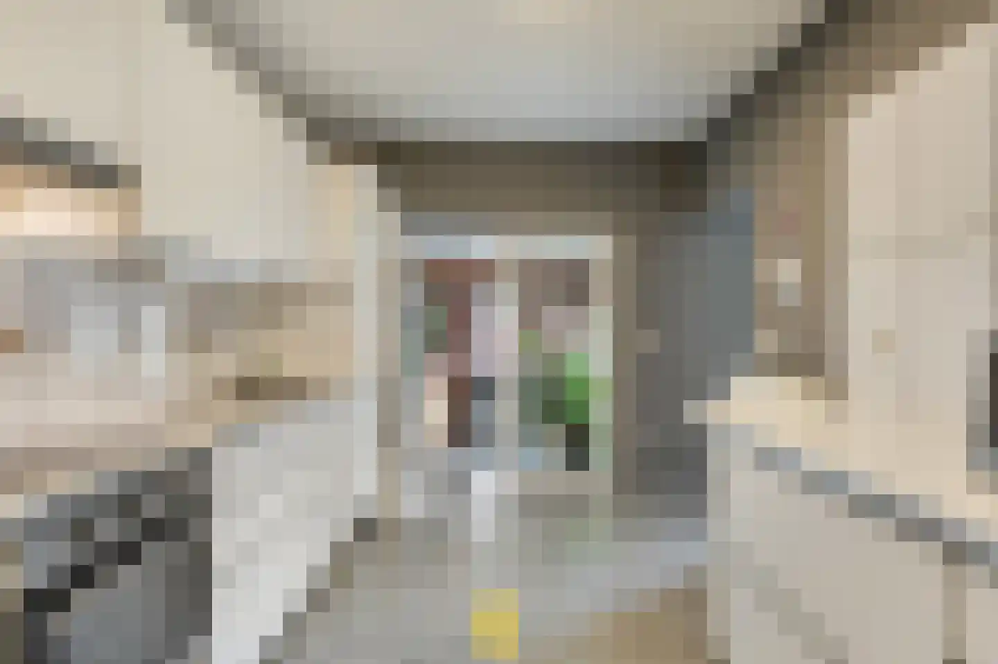 Laan van België 3740 Bilzen Roosendaal thumbnail 26